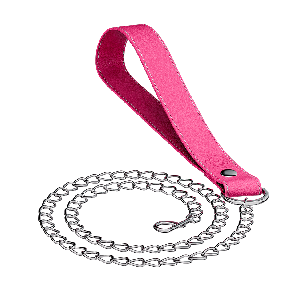 Vei: Snax Spiked Dog Collar + Leash - Gamer Supps